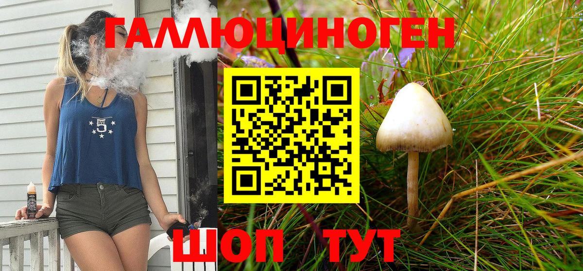 Псилоцибиновые грибы Cubensis Сегежа