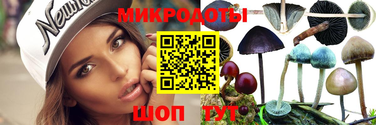 Псилоцибиновые грибы прущие грибы  Галлюциногенные грибы мицелий  Сегежа  Вход с VPN 